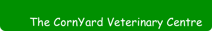 CornYard Veterinary Centre